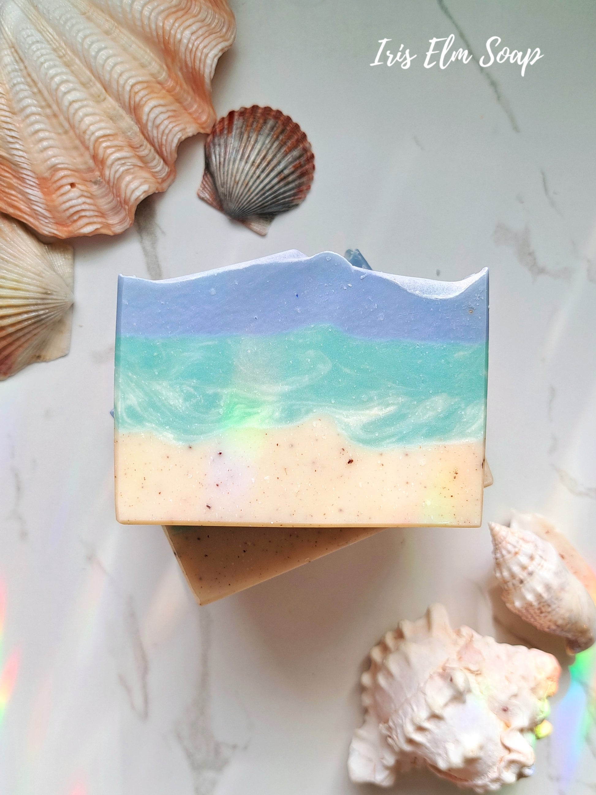 Bar of coconut lime verbena handmade Iris Elm soap with beach design surrounded by seashells on a light background