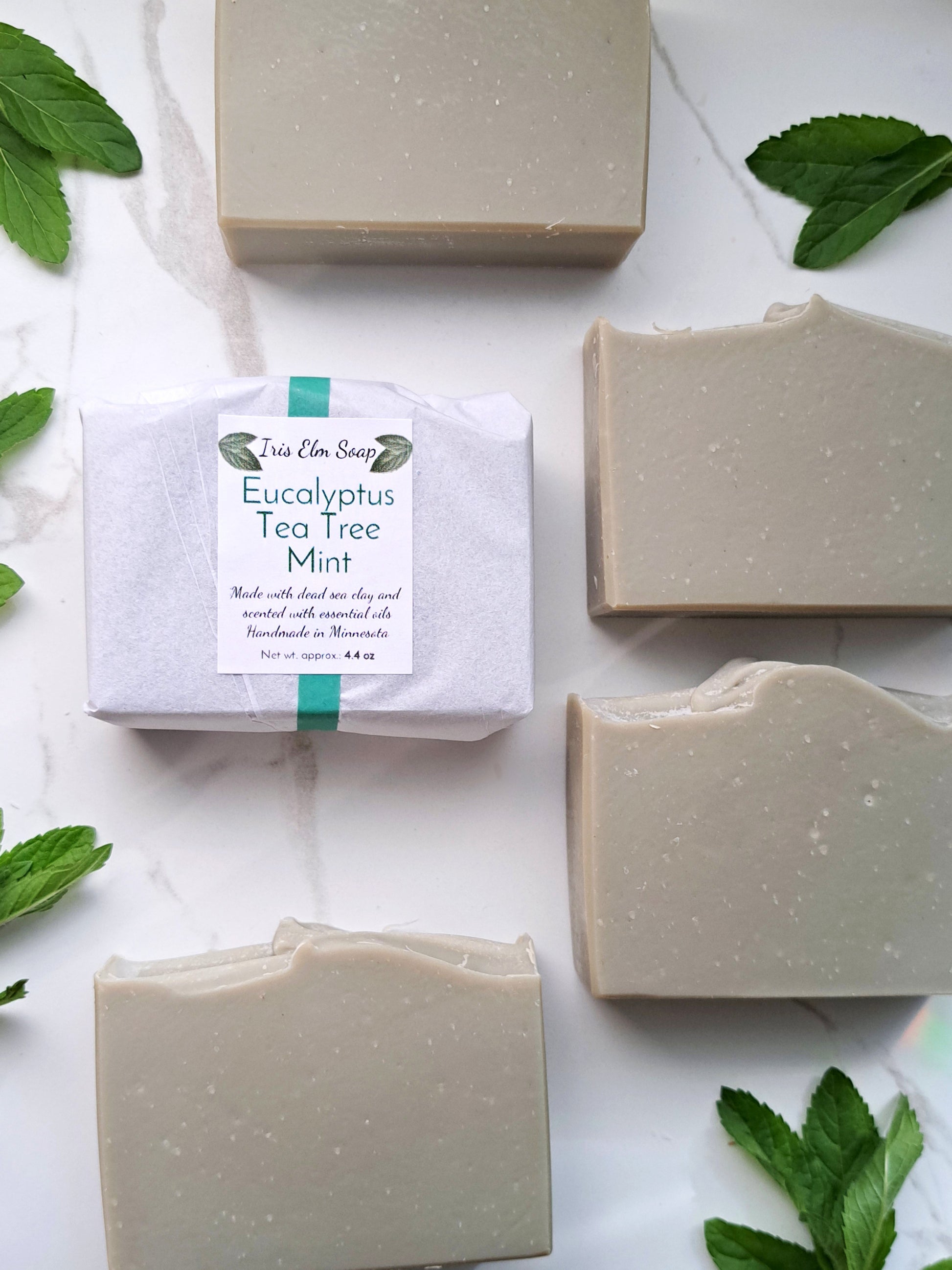 Eucalyptus Tea Tree Mint soap bars with packaging on a white background