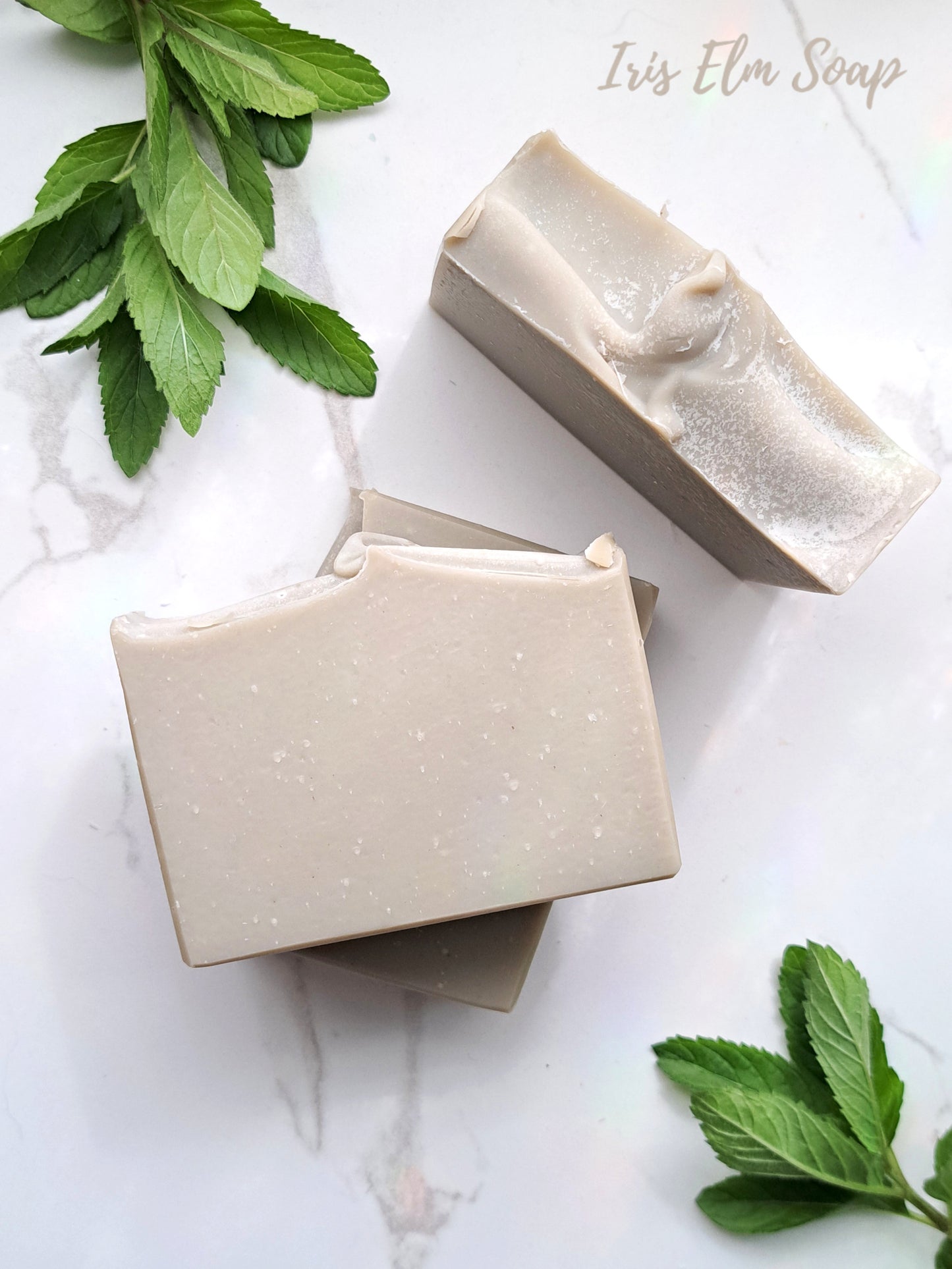 Two bars of eucalyptus tea tree mint handmade essential oil soap with green leaves on a light background